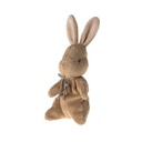 My First Bunny - Brown