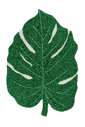 [P-1067] Alfombra Lavable Monstera Leaf